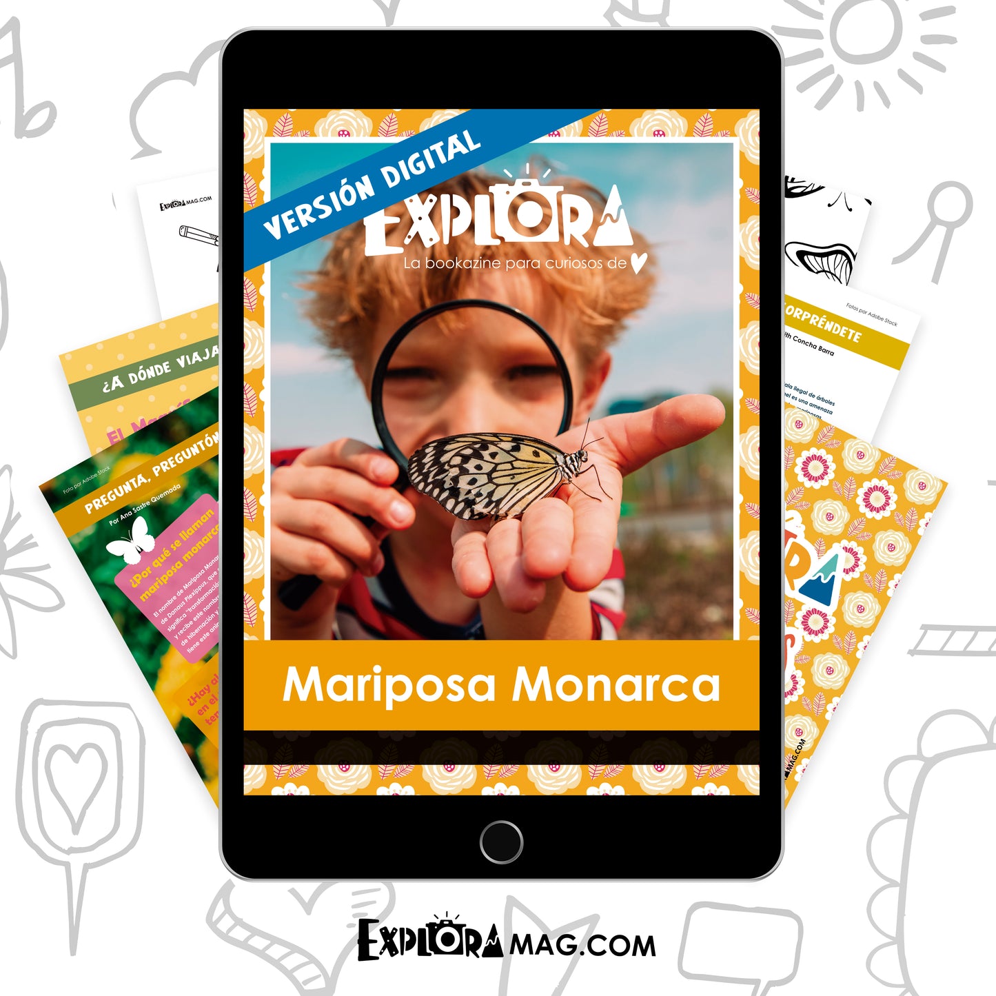 Digital Zine-Mariposa Monarca