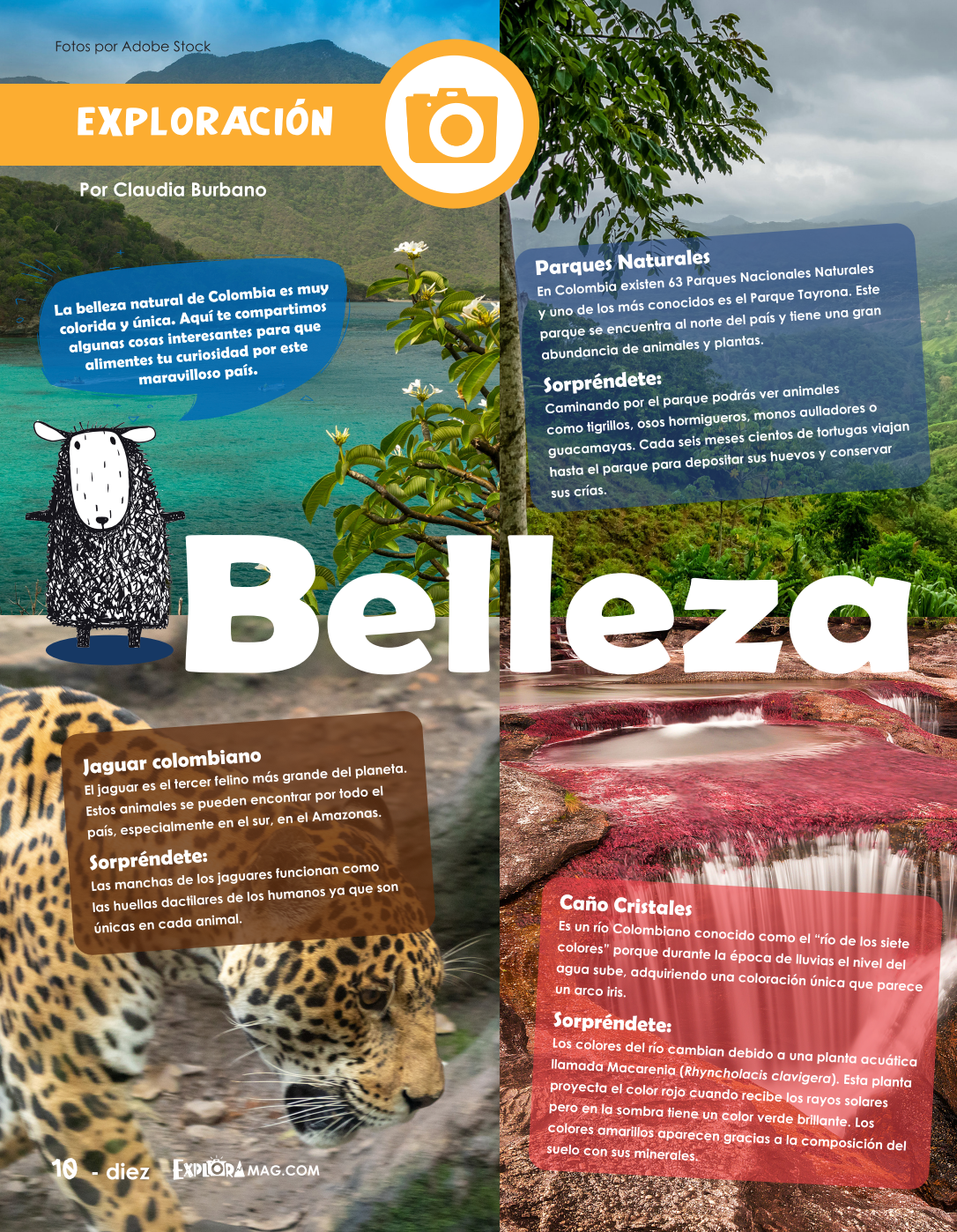 Digital Zine-Colombia