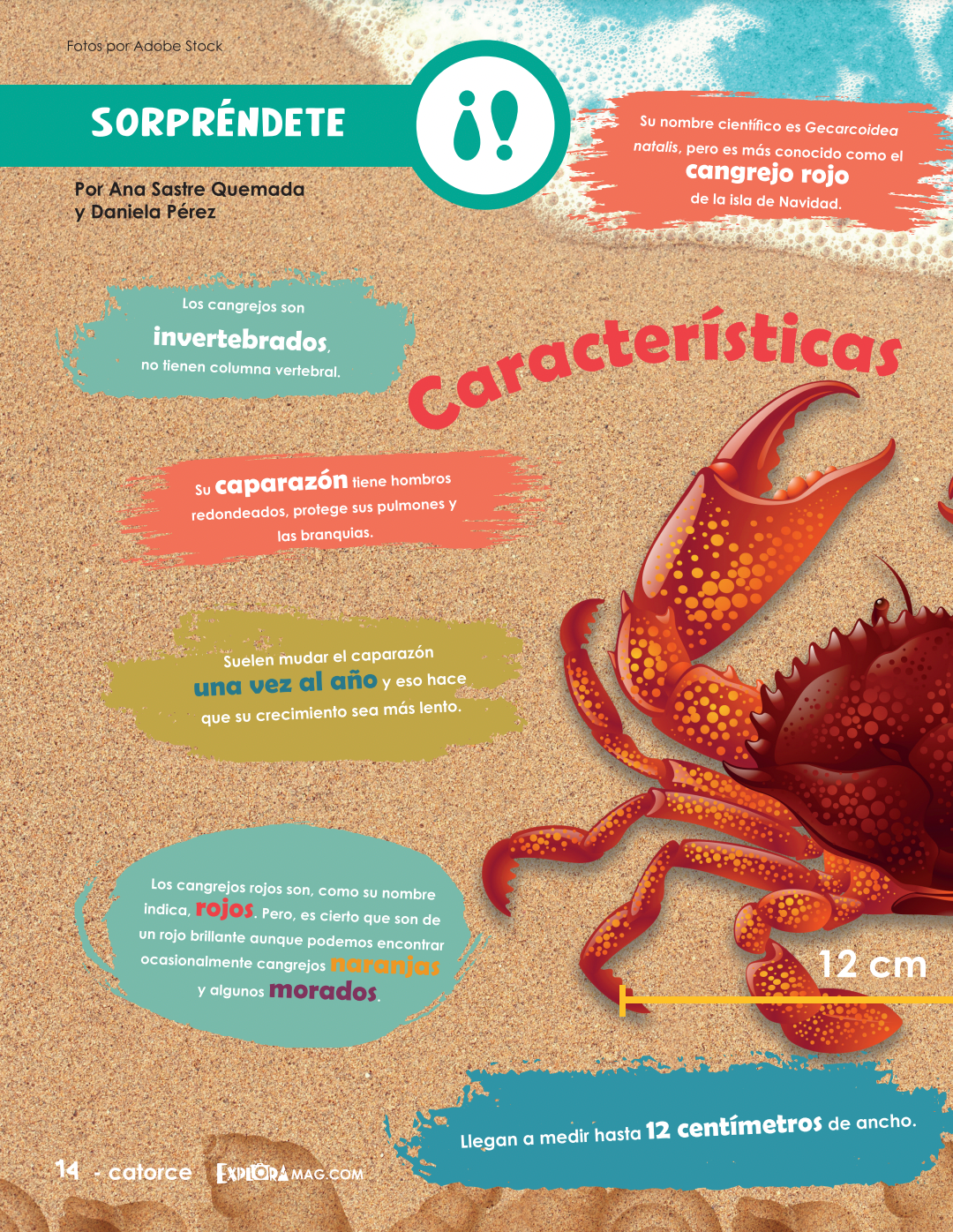 Digital Zine-Isla de Navidad