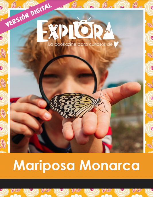 Digital Zine-Mariposa Monarca