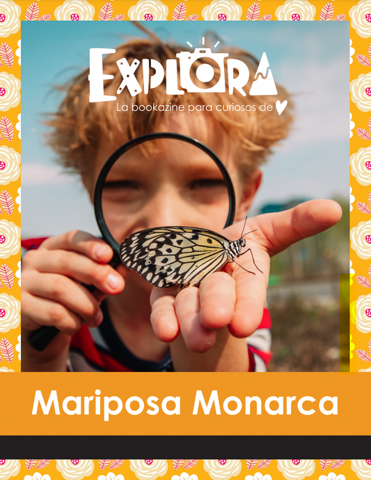 PRINT Bookazine-Mariposa Monarca